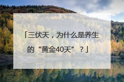 三伏天，为什么是养生的“黄金40天”？
