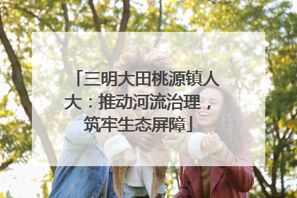 三明大田桃源镇人大：推动河流治理，筑牢生态屏障