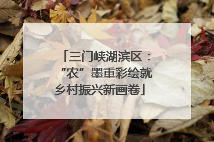 三门峡湖滨区：“农”墨重彩绘就乡村振兴新画卷