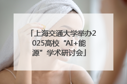上海交通大学举办2025高校“AI+能源”学术研讨会