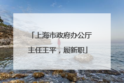 上海市政府办公厅主任王平，履新职