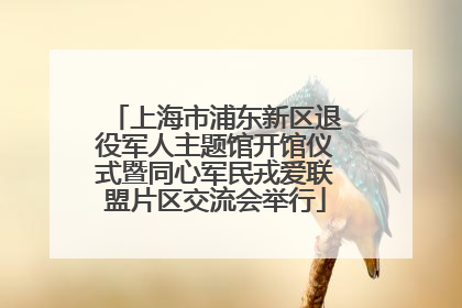 上海市浦东新区退役军人主题馆开馆仪式暨同心军民戎爱联盟片区交流会举行