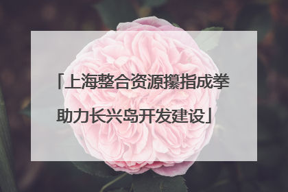 上海整合资源攥指成拳助力长兴岛开发建设