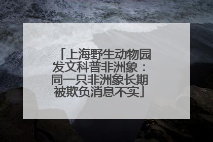 上海野生动物园发文科普非洲象：同一只非洲象长期被欺负消息不实