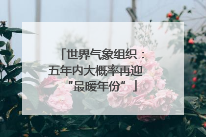 世界气象组织：五年内大概率再迎“最暖年份”