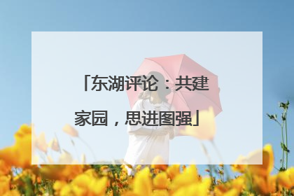 东湖评论：共建家园，思进图强