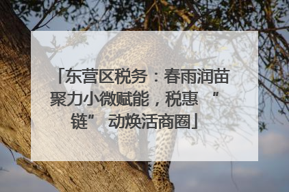 东营区税务：春雨润苗聚力小微赋能，税惠 “链” 动焕活商圈