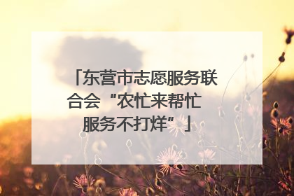 东营市志愿服务联合会“农忙来帮忙 服务不打烊”