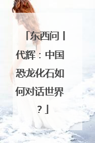 东西问丨代辉：中国恐龙化石如何对话世界？