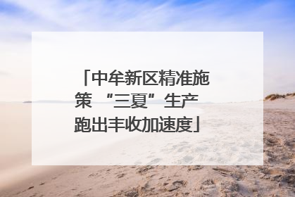 中牟新区精准施策 “三夏”生产跑出丰收加速度