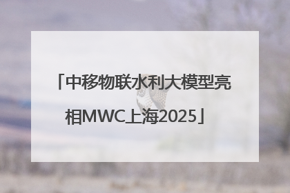 中移物联水利大模型亮相MWC上海2025