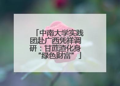 中南大学实践团赴广西凭祥调研：甘蔗渣化身“绿色财富”