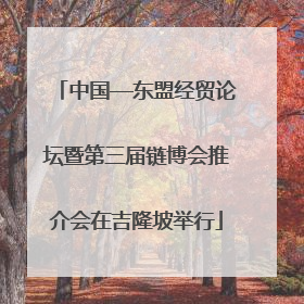 中国—东盟经贸论坛暨第三届链博会推介会在吉隆坡举行