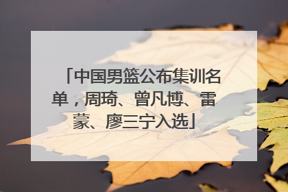 中国男篮公布集训名单，周琦、曾凡博、雷蒙、廖三宁入选