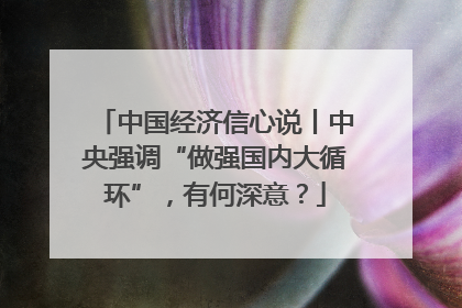中国经济信心说丨中央强调“做强国内大循环”，有何深意？