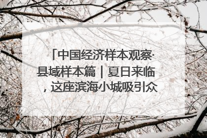 中国经济样本观察·县域样本篇｜夏日来临，这座滨海小城吸引众多年轻人打卡……