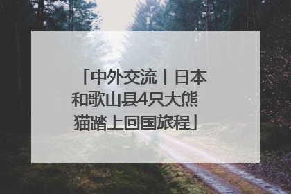 中外交流丨日本和歌山县4只大熊猫踏上回国旅程