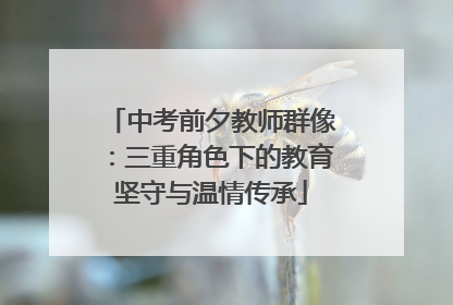 中考前夕教师群像：三重角色下的教育坚守与温情传承