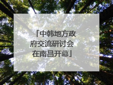 中韩地方政府交流研讨会在南昌开幕