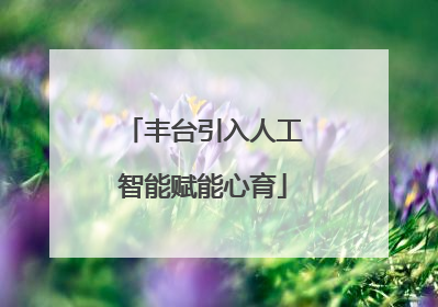 丰台引入人工智能赋能心育