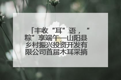 丰收“耳”语，“粽”享端午—山阳县乡村振兴投资开发有限公司首届木耳采摘活动盛大启幕