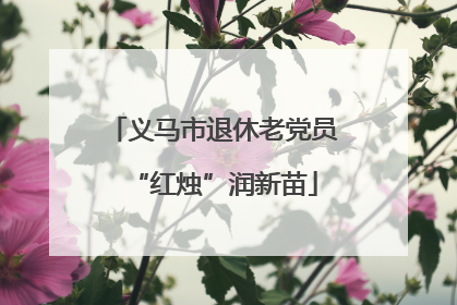 义马市退休老党员“红烛”润新苗