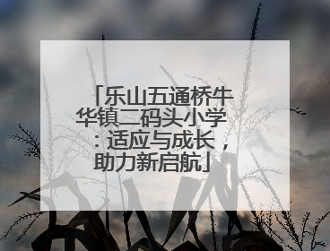 乐山五通桥牛华镇二码头小学：适应与成长，助力新启航
