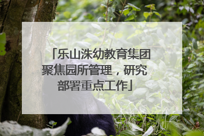 乐山洙幼教育集团聚焦园所管理，研究部署重点工作