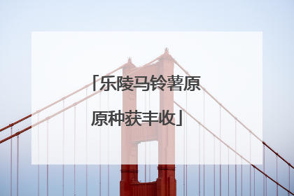 乐陵马铃薯原原种获丰收