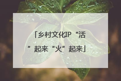 乡村文化IP“活”起来“火”起来