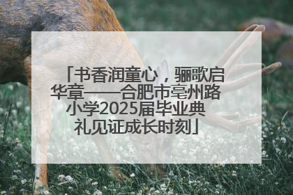 书香润童心，骊歌启华章——合肥市亳州路小学2025届毕业典礼见证成长时刻