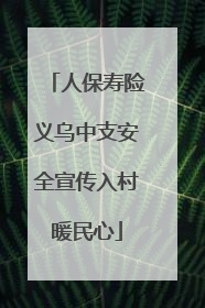 人保寿险义乌中支安全宣传入村暖民心