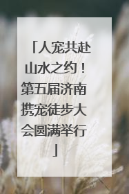 人宠共赴山水之约！第五届济南携宠徒步大会圆满举行