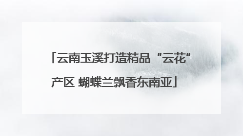 云南玉溪打造精品“云花”产区 蝴蝶兰飘香东南亚