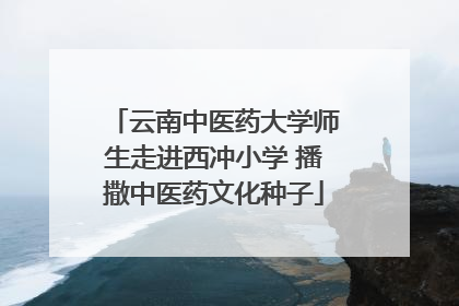 云南中医药大学师生走进西冲小学 播撒中医药文化种子