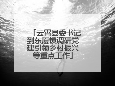 云霄县委书记到东厦镇调研党建引领乡村振兴等重点工作