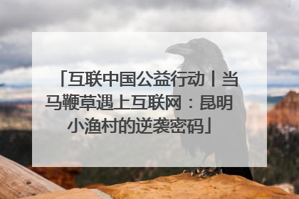互联中国公益行动丨当马鞭草遇上互联网：昆明小渔村的逆袭密码