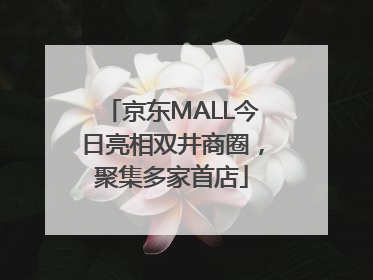 京东MALL今日亮相双井商圈，聚集多家首店