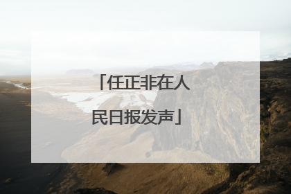 任正非在人民日报发声