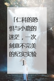 仁科的恐惧与小鹿的迷茫，一次刻意不完美的纪实实验