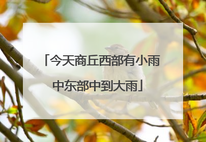 今天商丘西部有小雨 中东部中到大雨
