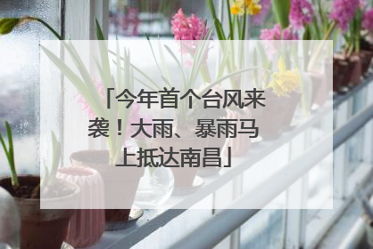 今年首个台风来袭！大雨、暴雨马上抵达南昌