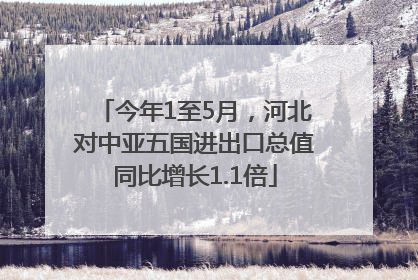 今年1至5月，河北对中亚五国进出口总值同比增长1.1倍