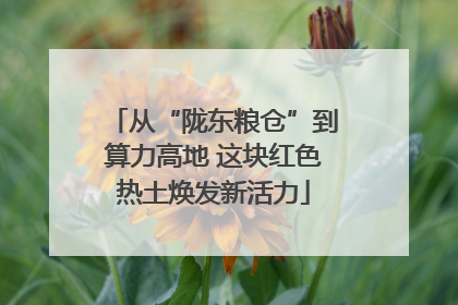 从“陇东粮仓”到算力高地 这块红色热土焕发新活力