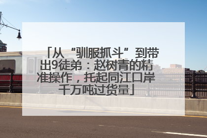 从“驯服抓斗”到带出9徒弟：赵树青的精准操作，托起同江口岸千万吨过货量