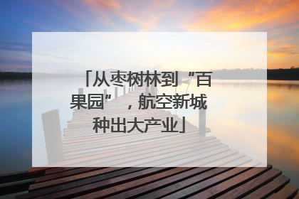 从枣树林到“百果园”，航空新城种出大产业
