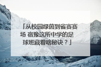 从校园绿茵到省赛赛场 宿豫这所中学的足球班藏着啥秘诀？