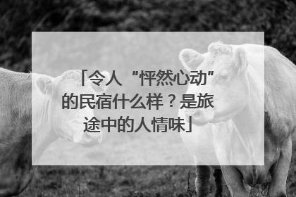 令人“怦然心动”的民宿什么样？是旅途中的人情味