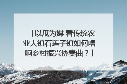 以瓜为媒 看传统农业大镇石莲子镇如何唱响乡村振兴协奏曲？