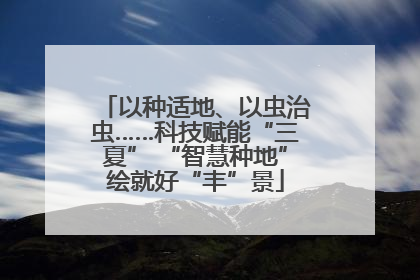 以种适地、以虫治虫……科技赋能“三夏” “智慧种地”绘就好“丰”景